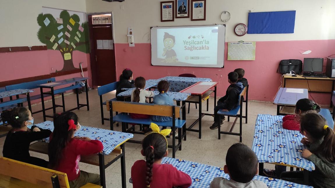 Viranşehir ve Ceylanpınar'da Psikolojik Danışmanı Olmayan Okullarda Bağımlılıkla Mücadele Eğitimleri Verildi